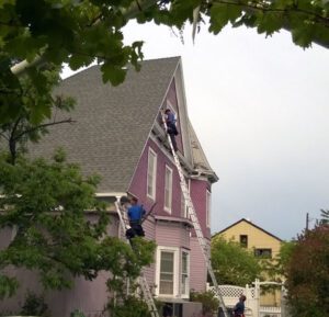 Bat Removal from Victorian House