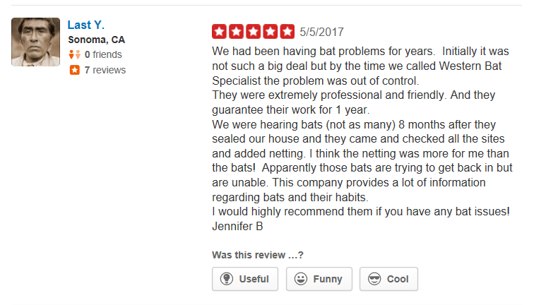 Yelp Review Last Y
